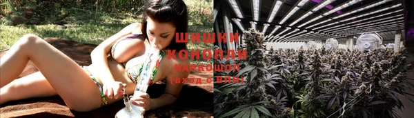 каннабис Дмитриев