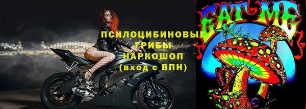 винт Дмитров